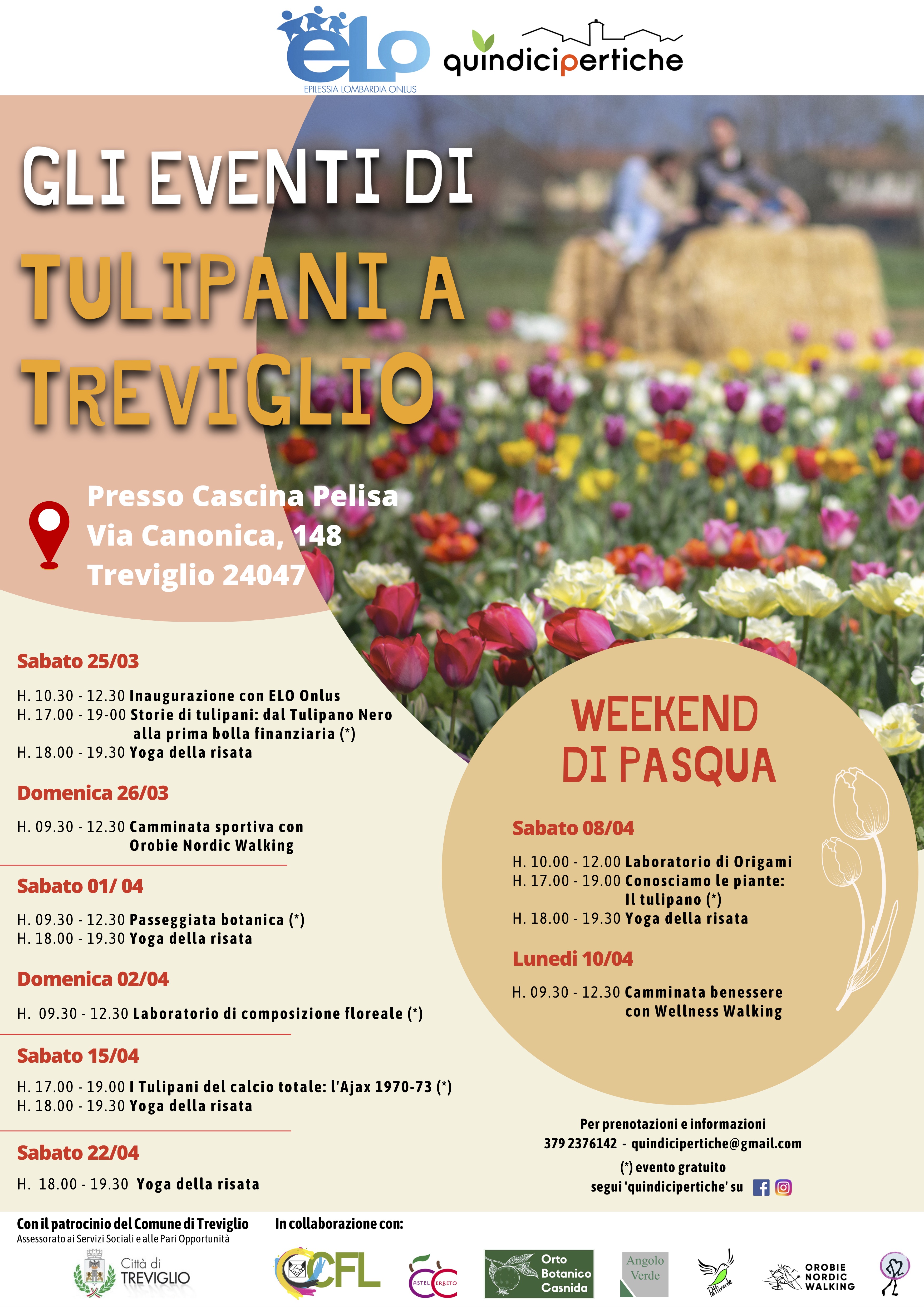 03.25_tulipani a treviglio