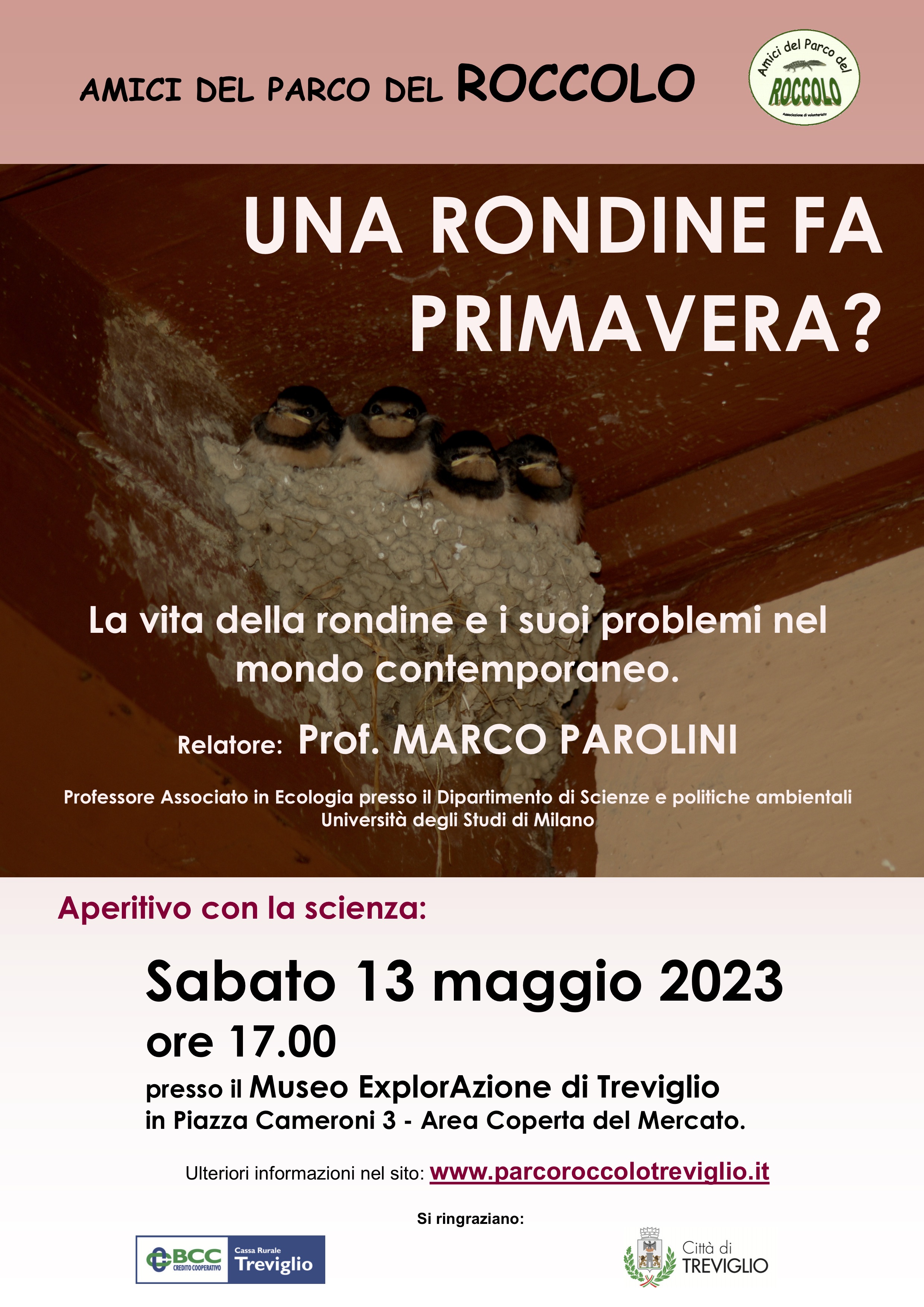 05.13_una rondine fa primavera