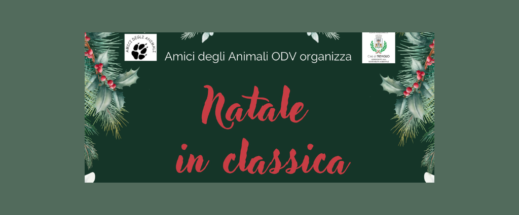 banner Natale in classica