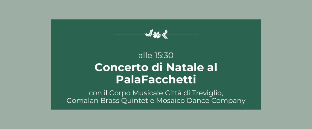 banner palafacchetti