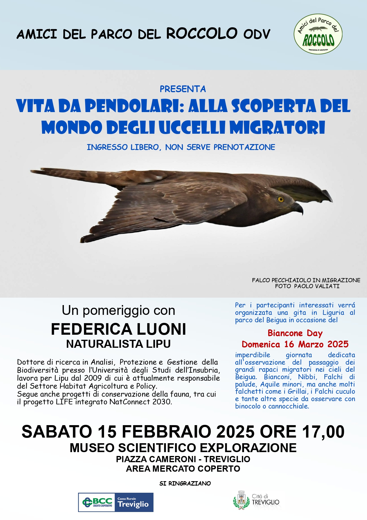 Vita da pendolari - Alla scoperta del mondo degli uccelli migratori